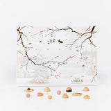 Summerbird Amber julekalender med 24 låger fyldt med chokoladebarer, fyldte chokolader, trøfler og dragéer lavet af den ikoniske Amber chokolade