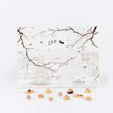 Summerbird Amber julekalender med 24 låger fyldt med chokoladebarer, fyldte chokolader, trøfler og dragéer lavet af den ikoniske Amber chokolade.