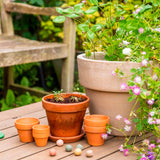 Gaveæske 'Happiness grows a garden full of flowers', Blossombs