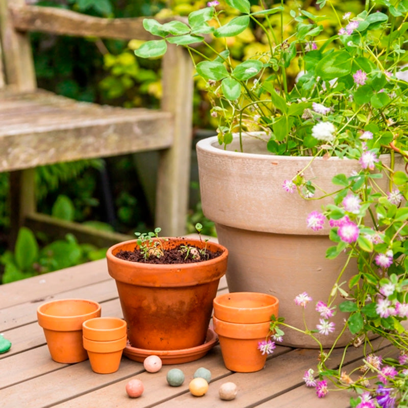 Gaveæske 'Happiness grows a garden full of flowers', Blossombs