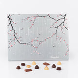 Summerbird signaturjulekalender i sølvdesign med 24 låger, hver med 2 økologiske chokolader i mørk og Amber-variant.