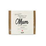 Stor gaveæske 'Blossombs for the best Mum in the whole world', Blossombs