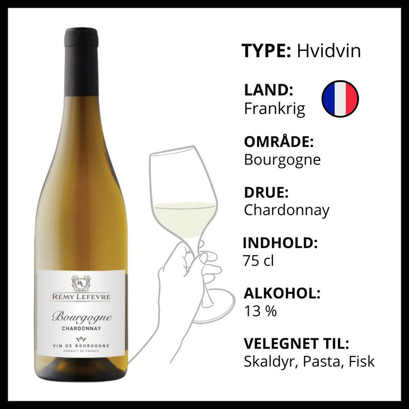 Hvidvin, Rémy Lefevre - Bourgogne Chardonnay (Frankrig)